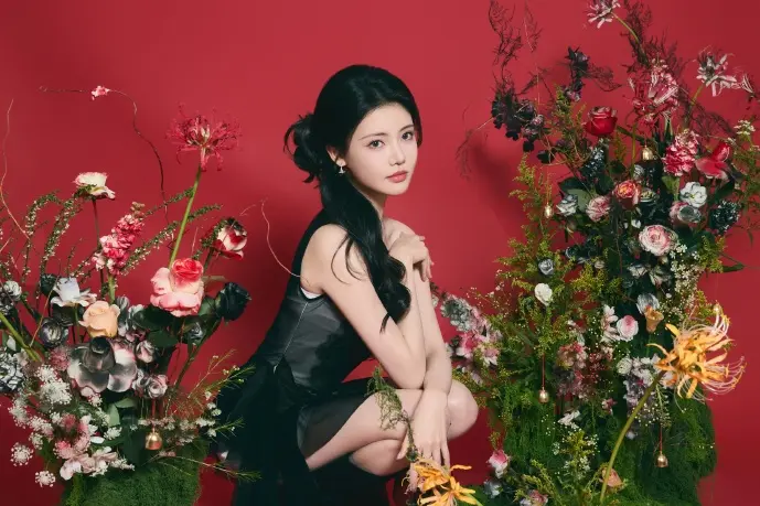 全球数学软件使用分布热力图